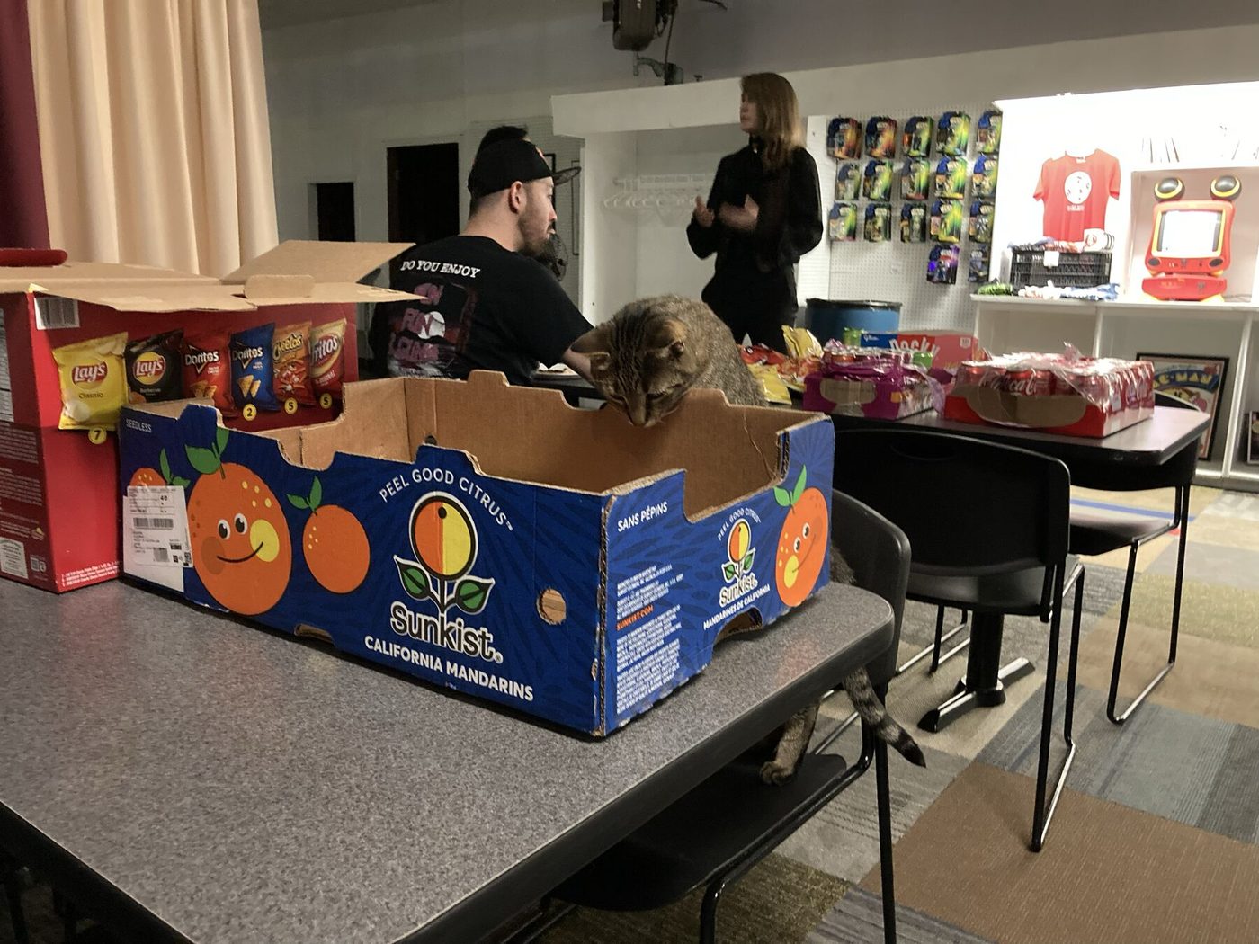Jonesy the arcade cat inspecting a box of snacks while guests set up a party